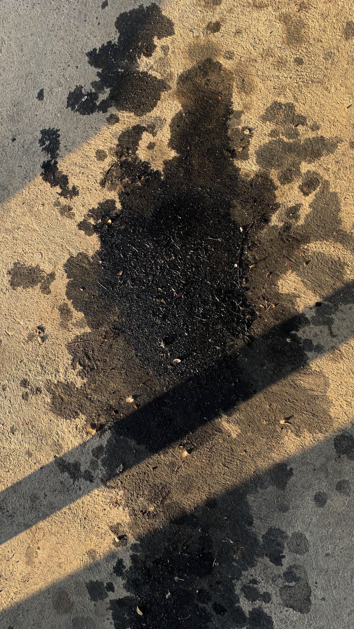Residential driveway with visible oil stains and surface discoloration before pressure washing — demonstration image