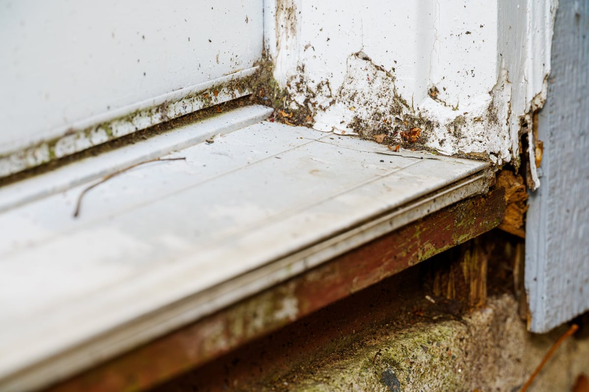 Worn and damaged weather stripping around residential front door — demonstration image