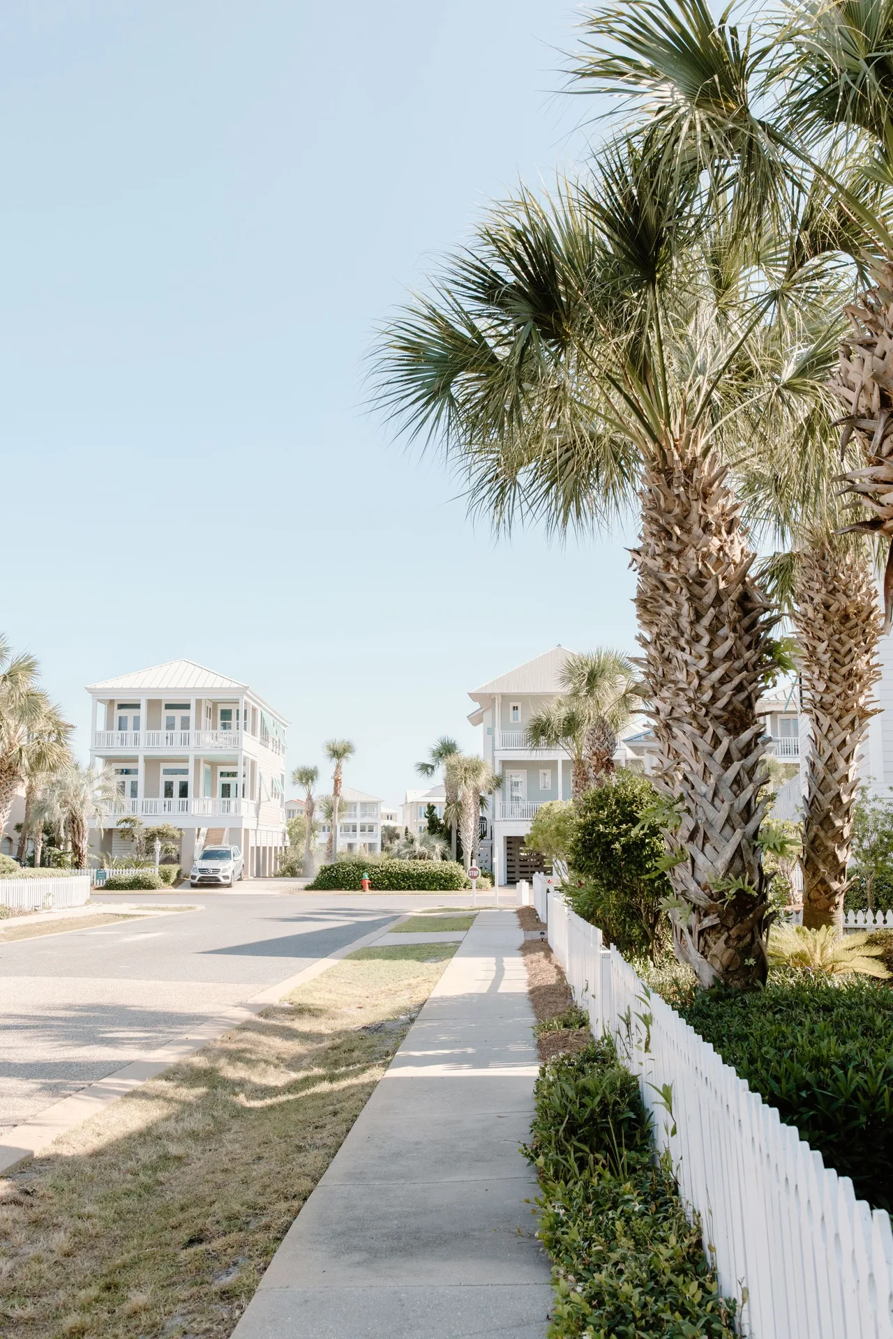 Newly built single-family homes with front-facing garages along a landscaped suburban street