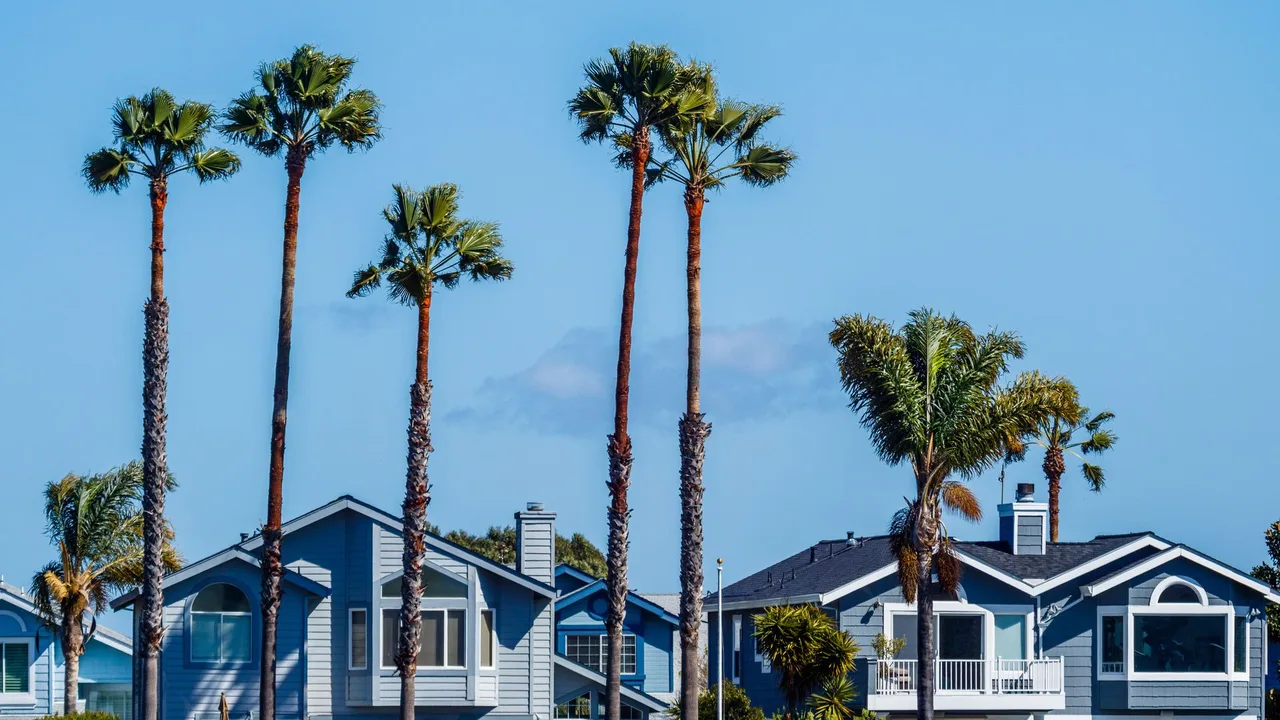 Quiet residential neighborhood street with single-family homes under a clear Florida sky